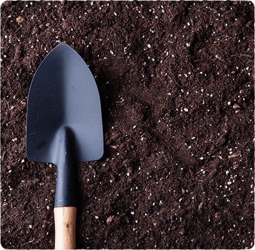 土作りのこだわり